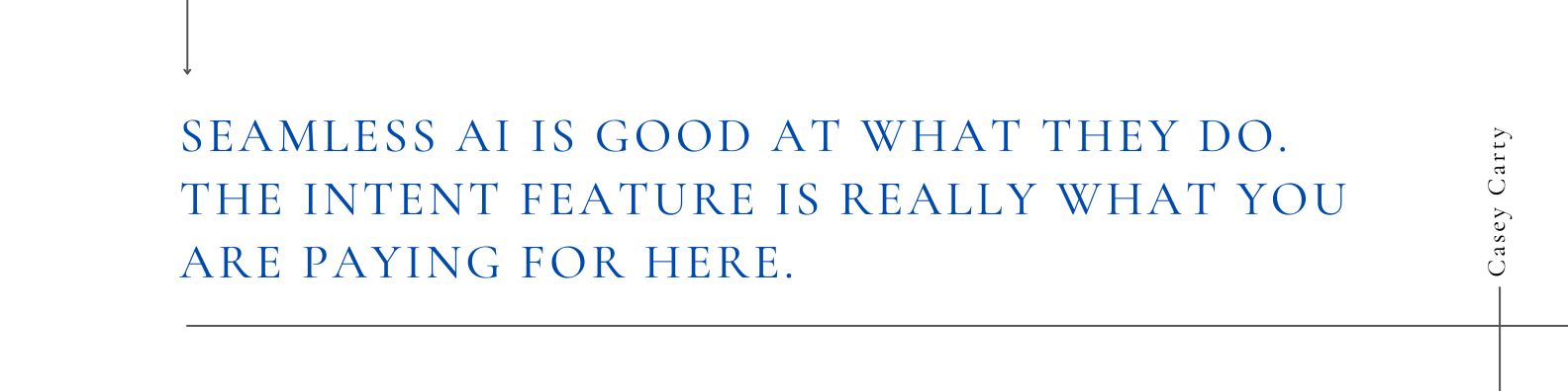 Review quote about Seamless.AI Intent data