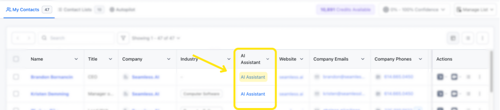 Access the AI Assistant directly on the Contacts Page